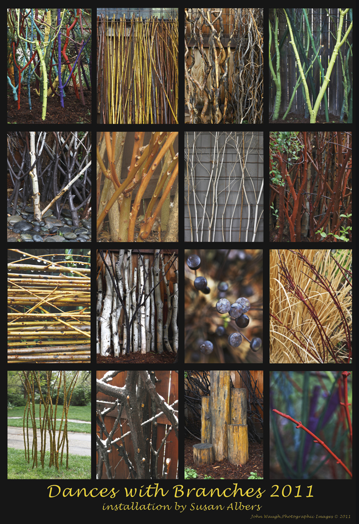 Dances With Branches